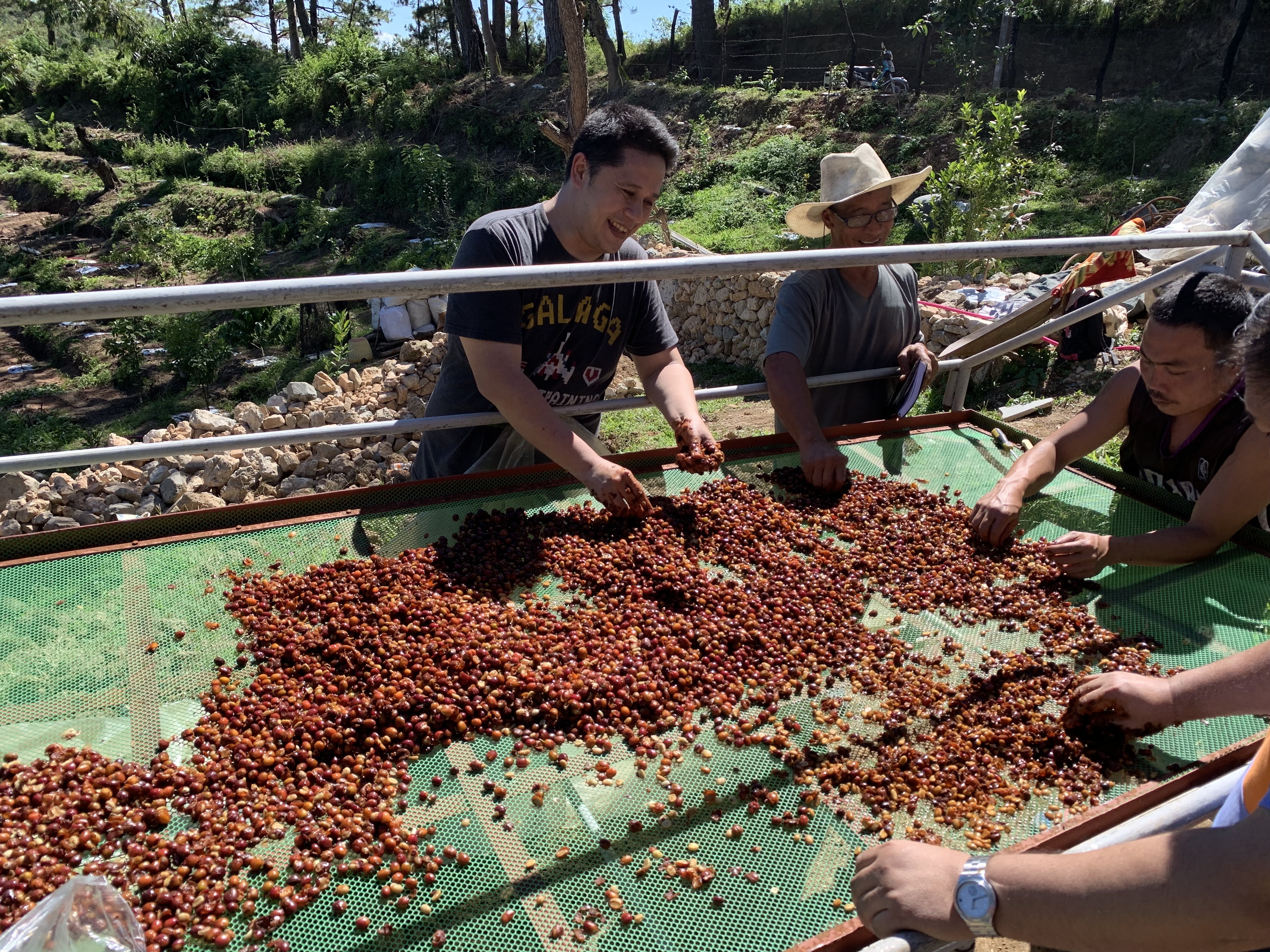 Improving Philippine coffee through open source post harvest